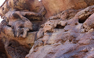 arabian tahr zoo